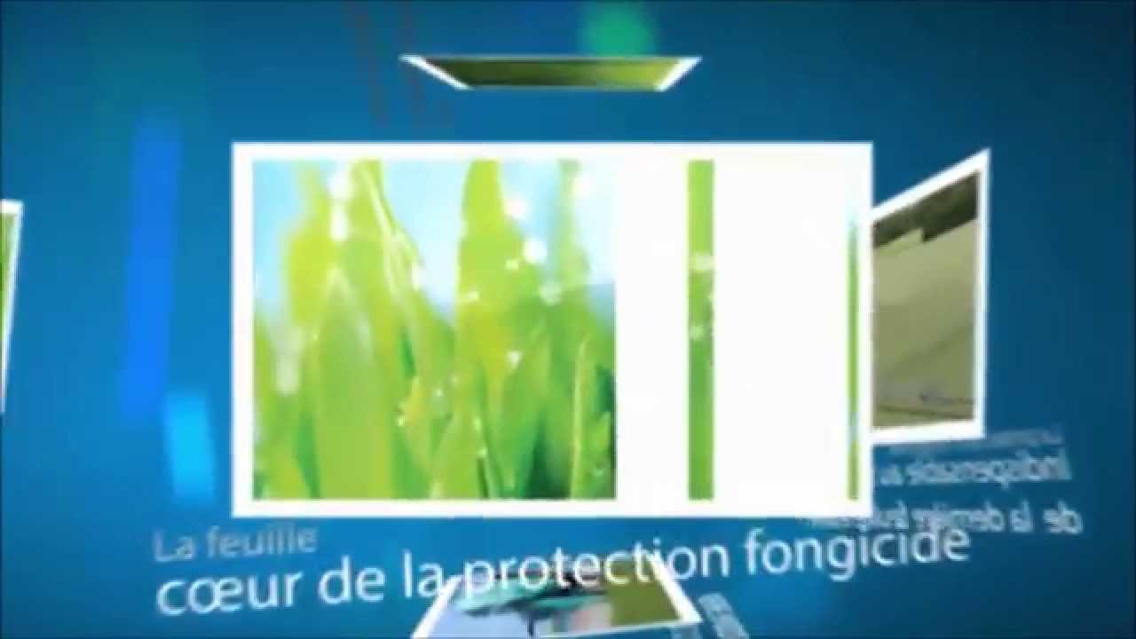 Xemium&reg; et la protection fongicide foliaire des c&eacute;r&eacute;ales