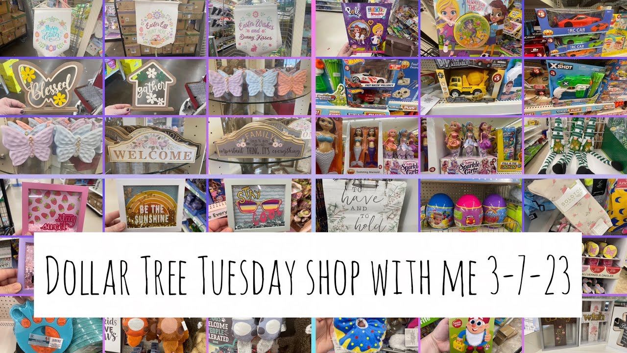 Shop with ME Dollar Tree 3-7-23