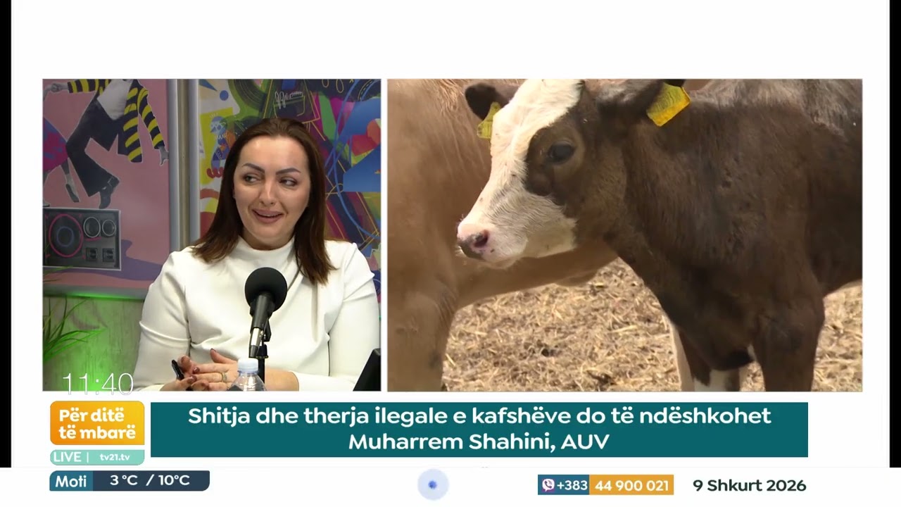 Shitja dhe therja ilegale e kafshëve do të ndëshkohet Muharrem Shahini, AUV 09.02.2026