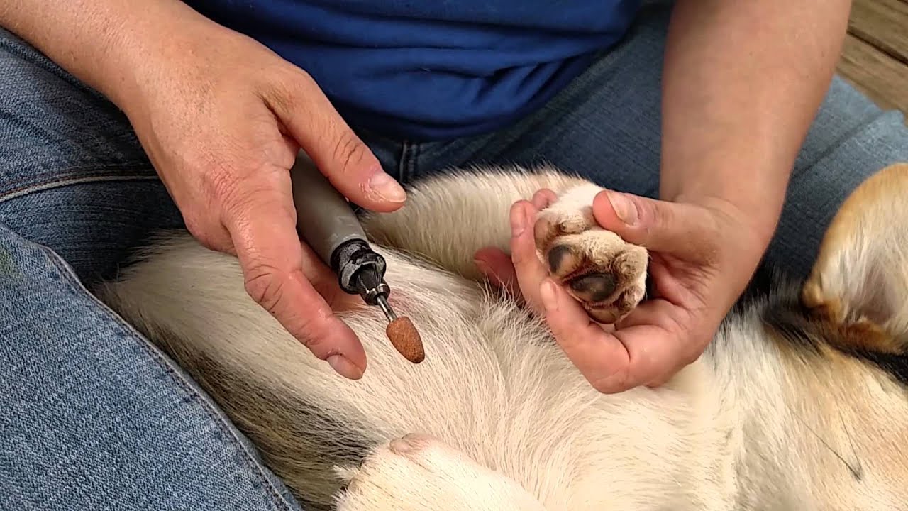 Dremeling Nails to Perfection