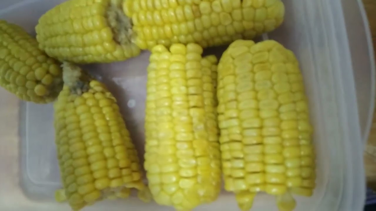 Yummy Sweet Corn  #mukbangbigbites #trending #viral