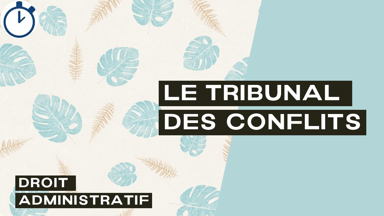 Le Tribunal des Conflits : [Droit Administratif]