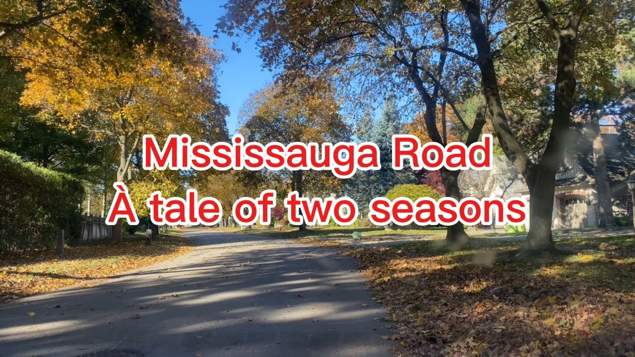 “Watching Fall Turn to Winter on a Mississauga Road 🍂❄️”