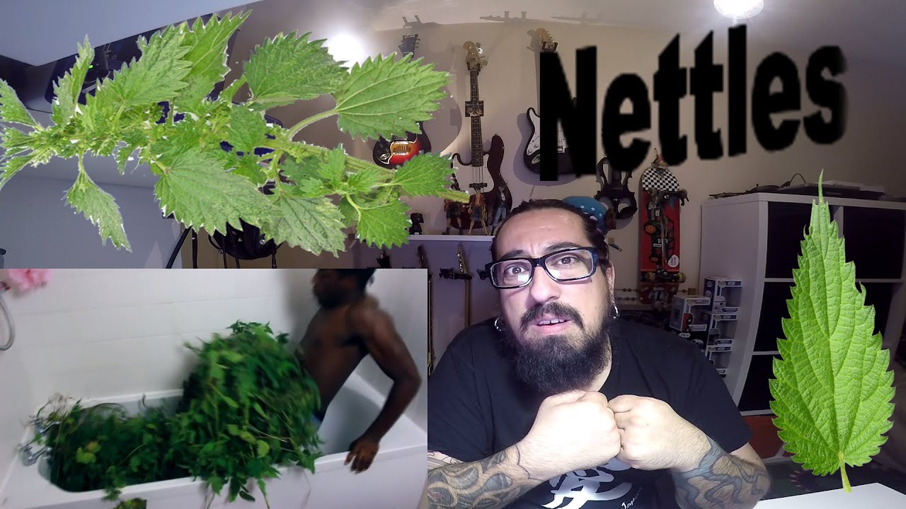 Bathing in Nettles REACTION