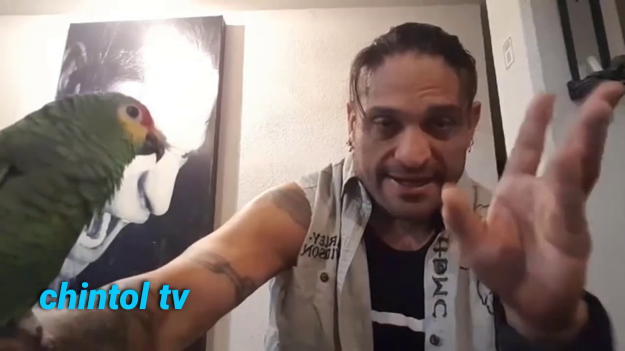 cibernético habla de Antonio peña y de la AAA