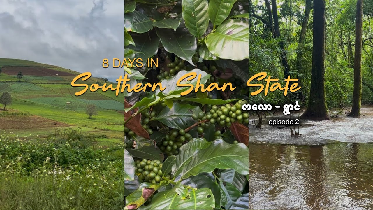 🌿 မျှော်လင့်ထားတာထက်ကို ပိုလှတဲ့ 'ရွာငံ' ခရီးစဉ် | 8 Days in Southern Shan State, Myanmar | EP2
