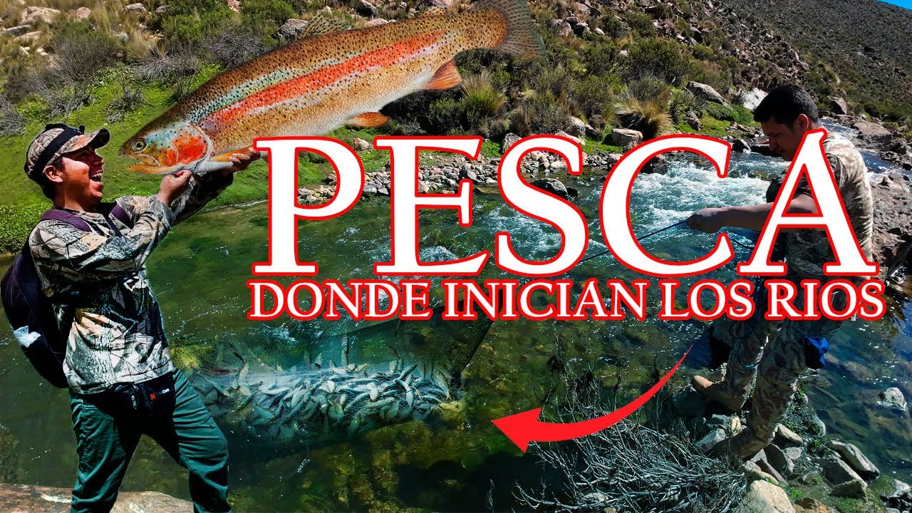PESCA DE TRUCHA: LOS ANDES DEL PERU