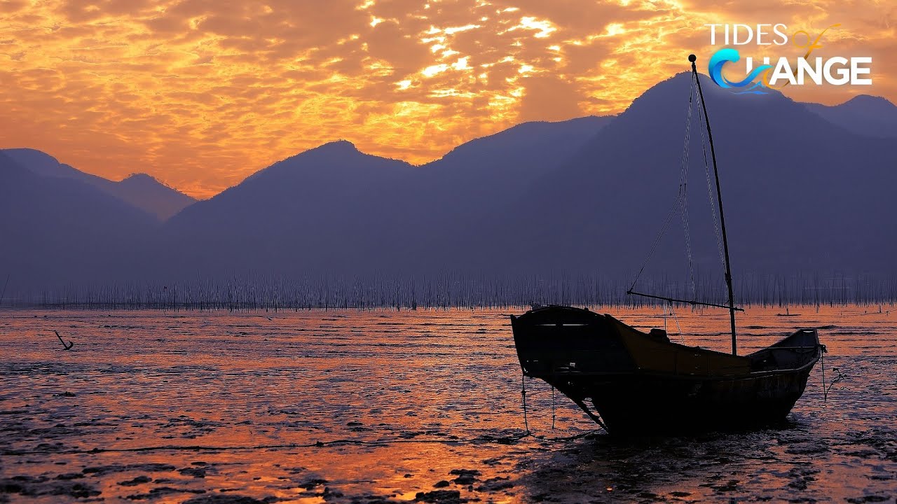 Live: Catch the breathtaking sunset at the Xiapu Mudflat