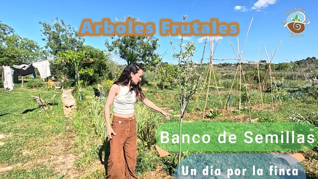 Un Día por la Finca ·Vida Rural · Arboles Frutales · Banco de Semillas #vidarural #campo