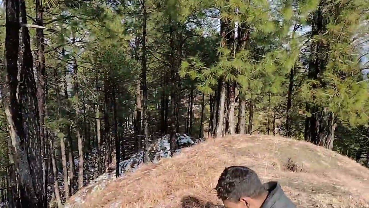 ,,#bollywoodmusic #mountains #trekking 