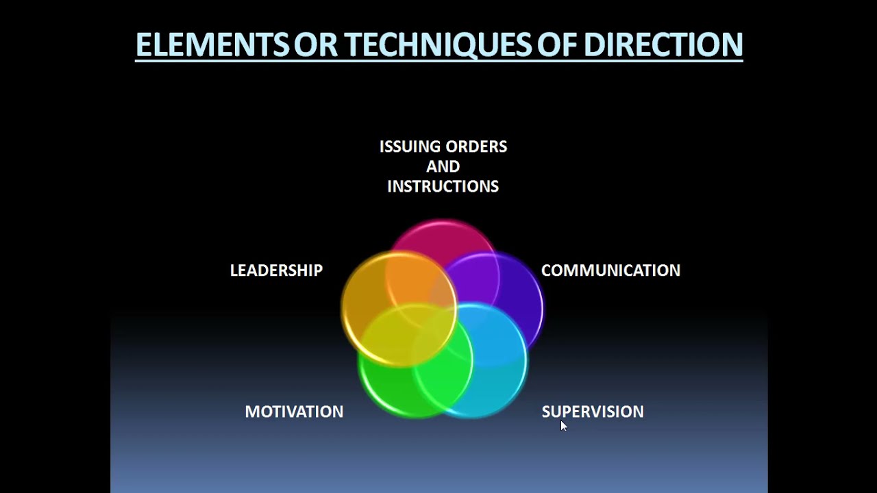 DIRECTING -INTRODUCTION PART 1 I BUSINESS STUDIES