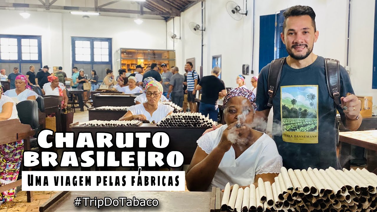CHARUTO BRASILEIRO | VIAGEM PELAS FÁBRICAS - 2ª TRIP DO TABACO