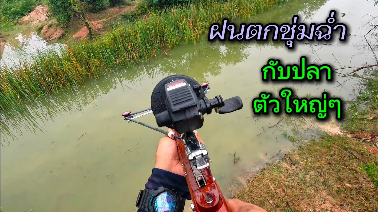 ฝนตกก็ไม่ถอยครับ เพื่อที่จะเจอปลาตัวใหญ่เปียกก็ยอมครับ