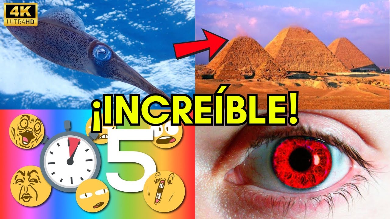 25 Datos Curiosos que NO Creer&aacute;s | Cosas Incre&iacute;bles del Mundo 🌎✨
