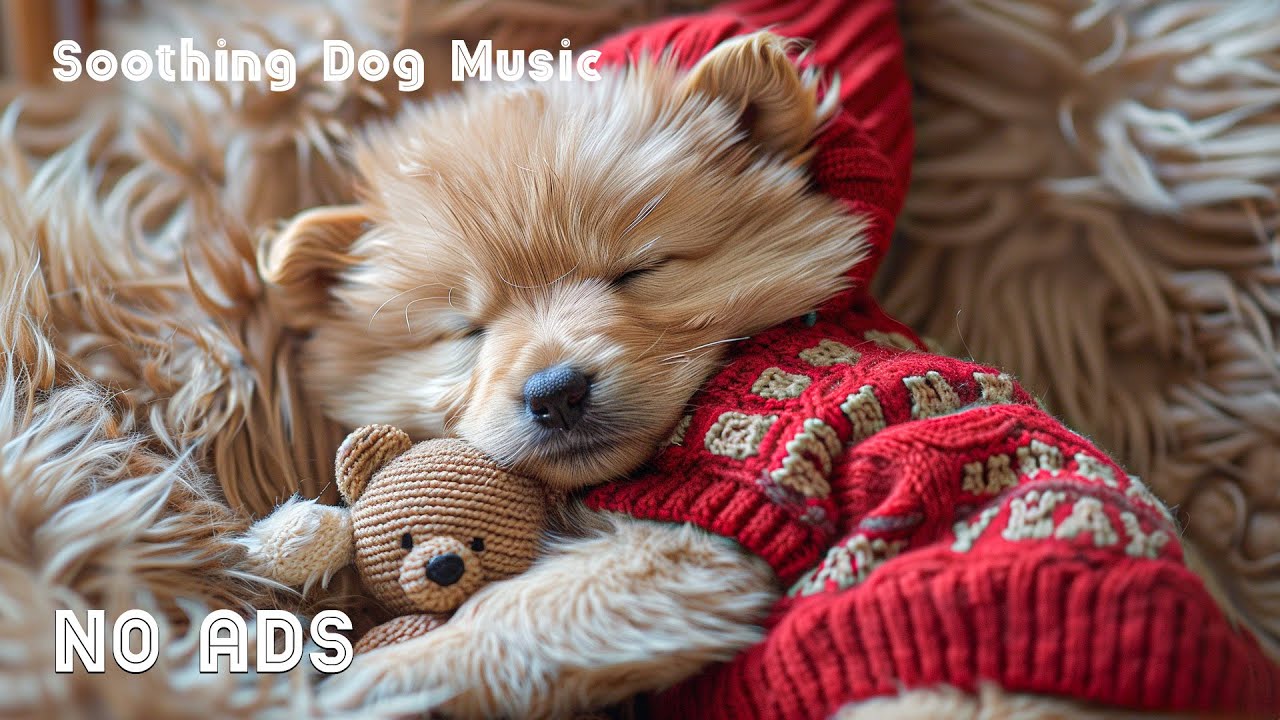 12 часов музыки для успокоения собак 🐶🧸 Глубокий сон и снятие стресса для питомцев 🎶Без рекламы
