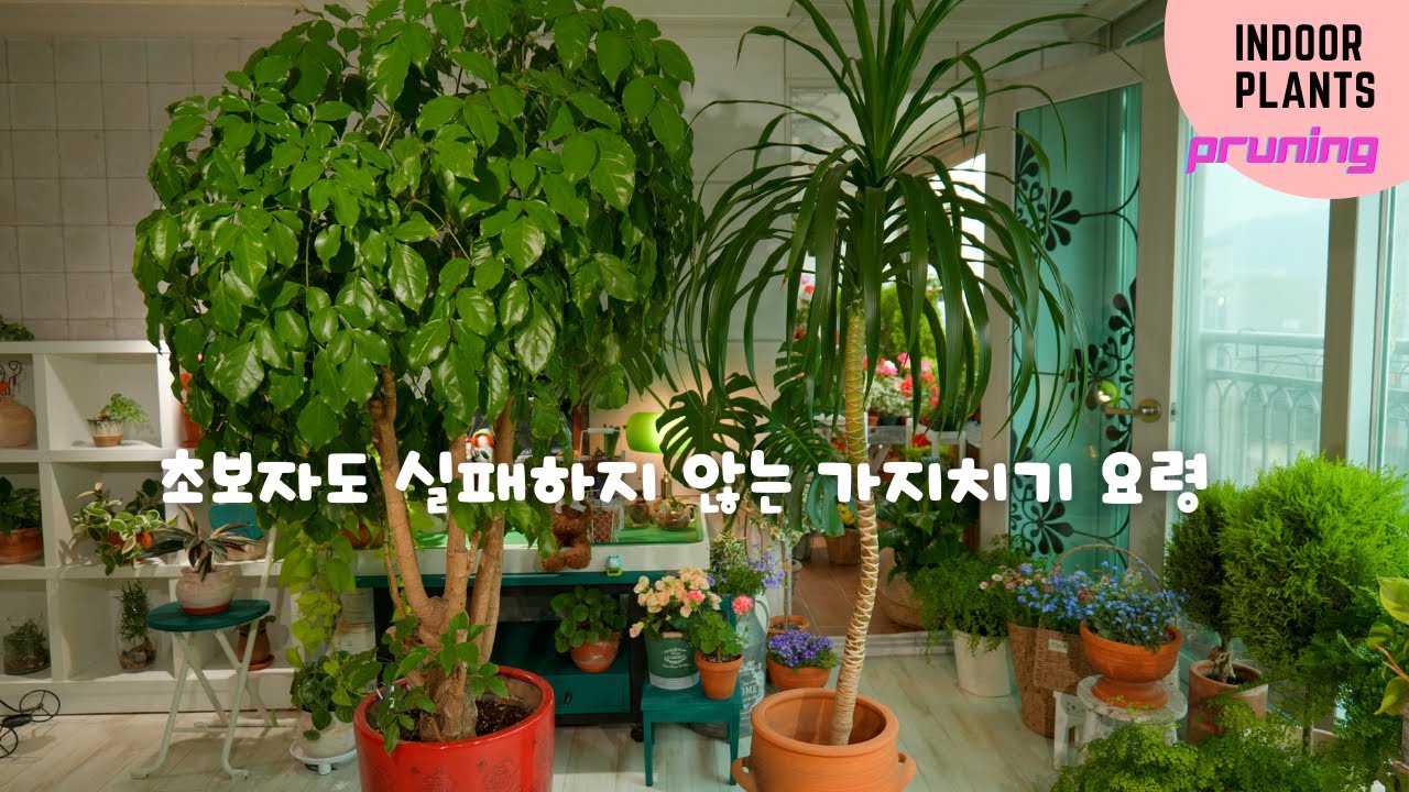 Советы по обрезке, которые легко может сделать каждый / Демонстрация обрезки больших растений