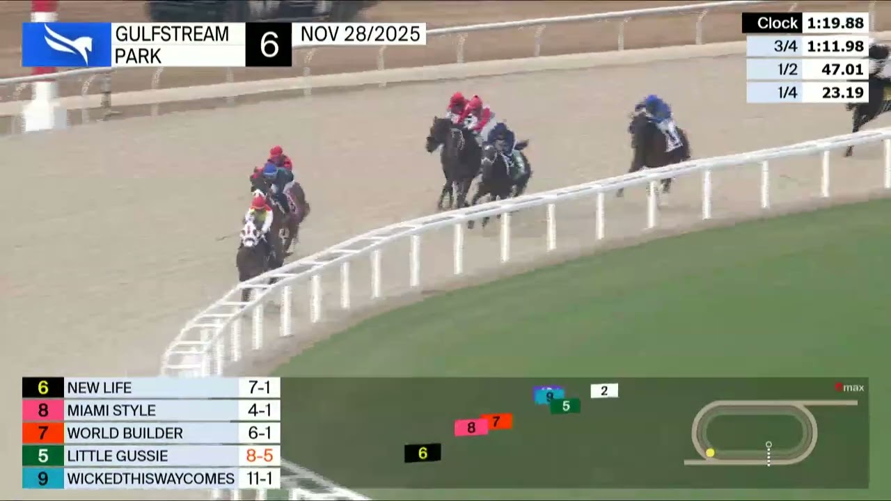 Gulfstream Park, 28 ноября 2025 г., гонка 6