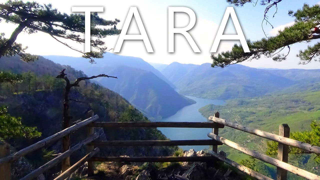 Tara National Park - Serbia