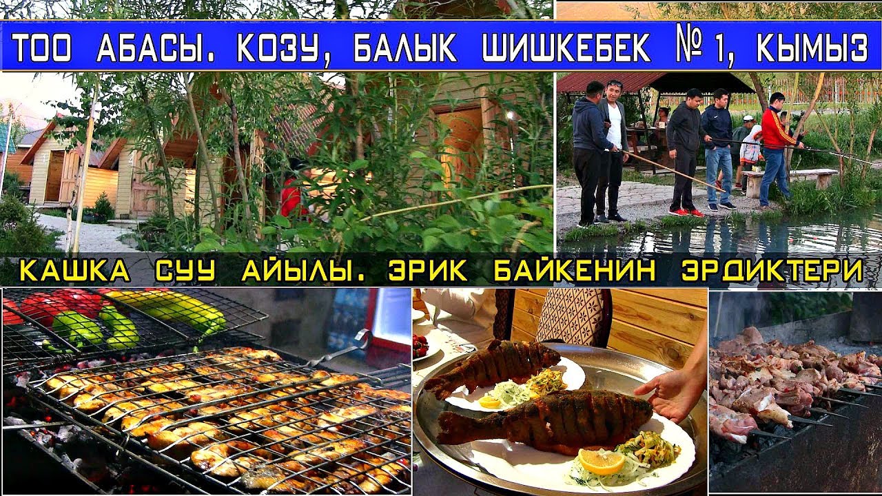 Тоо койнунда шилекей чубурткан  шишкебек,  форель балык жеп, кымыз ичип эс ал!
