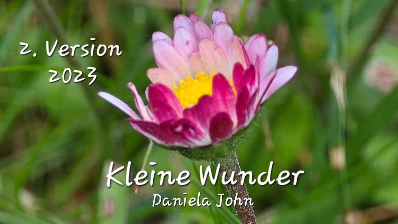 Kleine Wunder - jeden Tag ein kleines Wunder f&uuml;r dich...🙏❤️☀️ (432 Hz) Daniela John 2023
