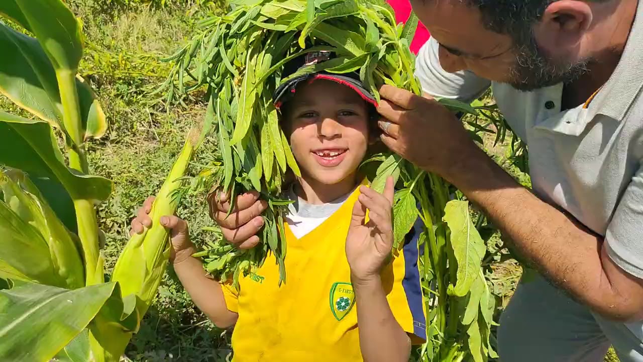السمسم أطول مني والمعاينين بيقولوا الزراعه بتتكلم بشركه الفلاح بالفرافره ت ٠١٠٠٨٧٩١٢٨٥ت٠١٢٠٥٠٥٣٥٠٧