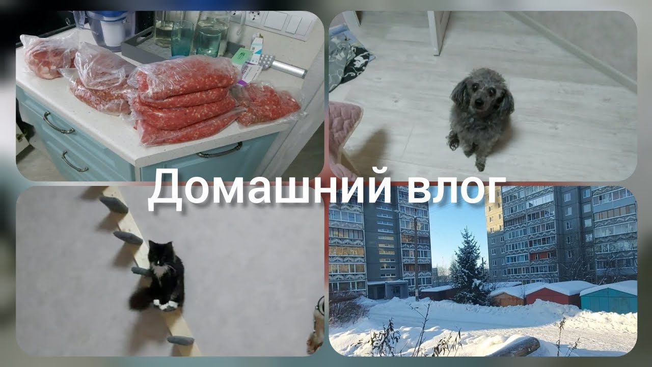 📽Ужин//Занимаюсь мясом//МОИ хвостики #реальнаяжизнь 