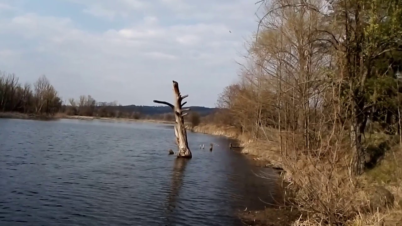 Шишаки. Водокачка. Великдень. Карантин