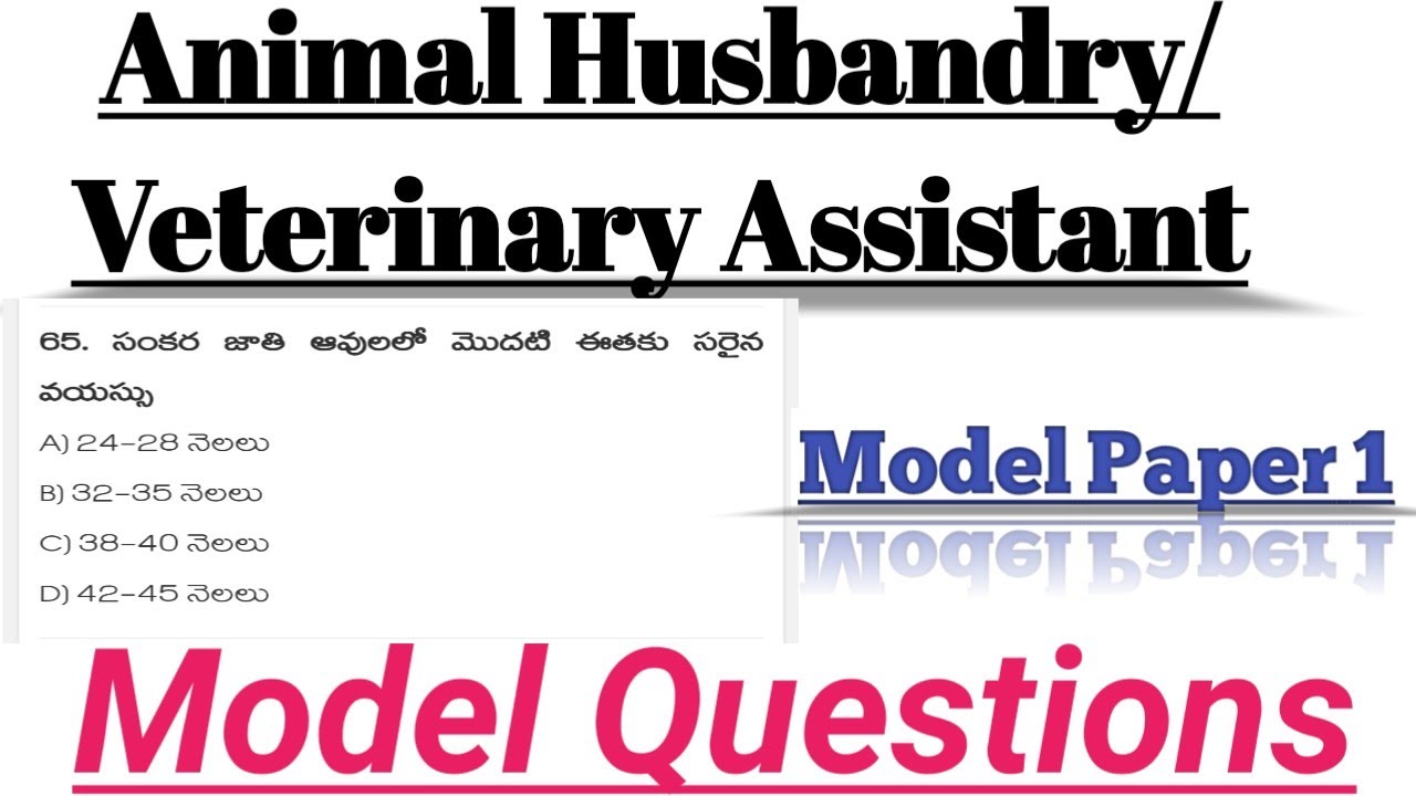 Animal Husbandry Model paper in Telugu | Veterinary Assistant Model Papers in Telugu | Sachivalayam