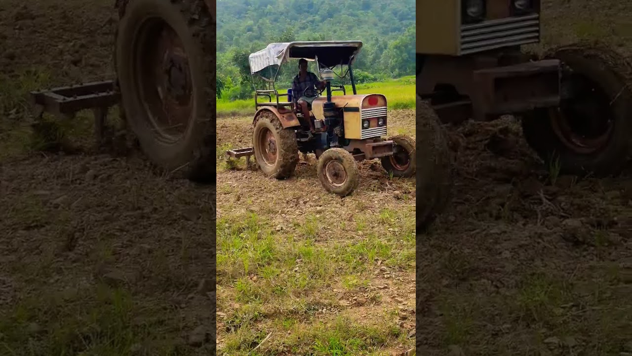 Eicher 242 NC full performance with 9 tine cultivator 💪💪 #eicher #performance #desi  #cultivation