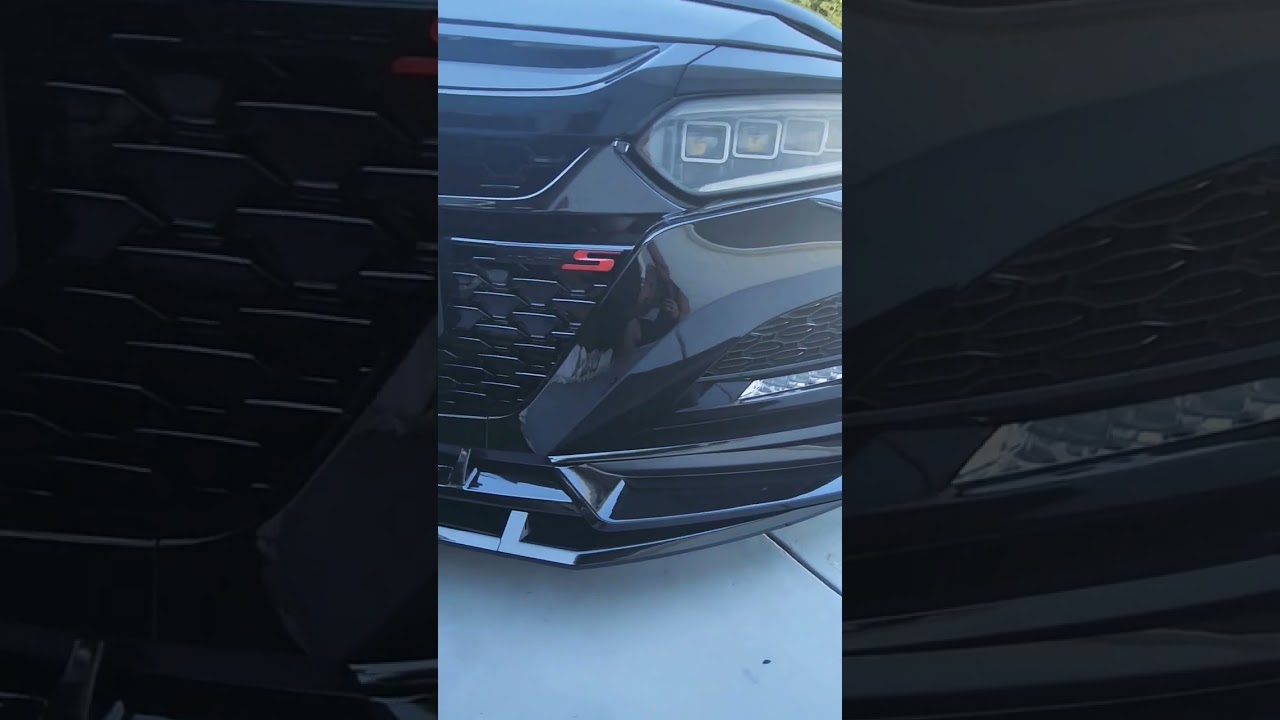 Accord 10th gen mesh grill