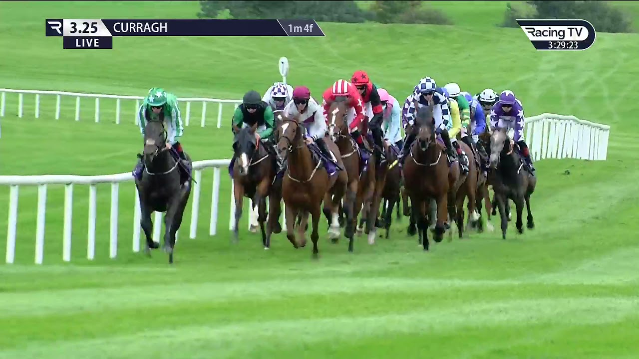 The Hollywoodbets Best Odds Guaranteed Handicap - Made For Minds