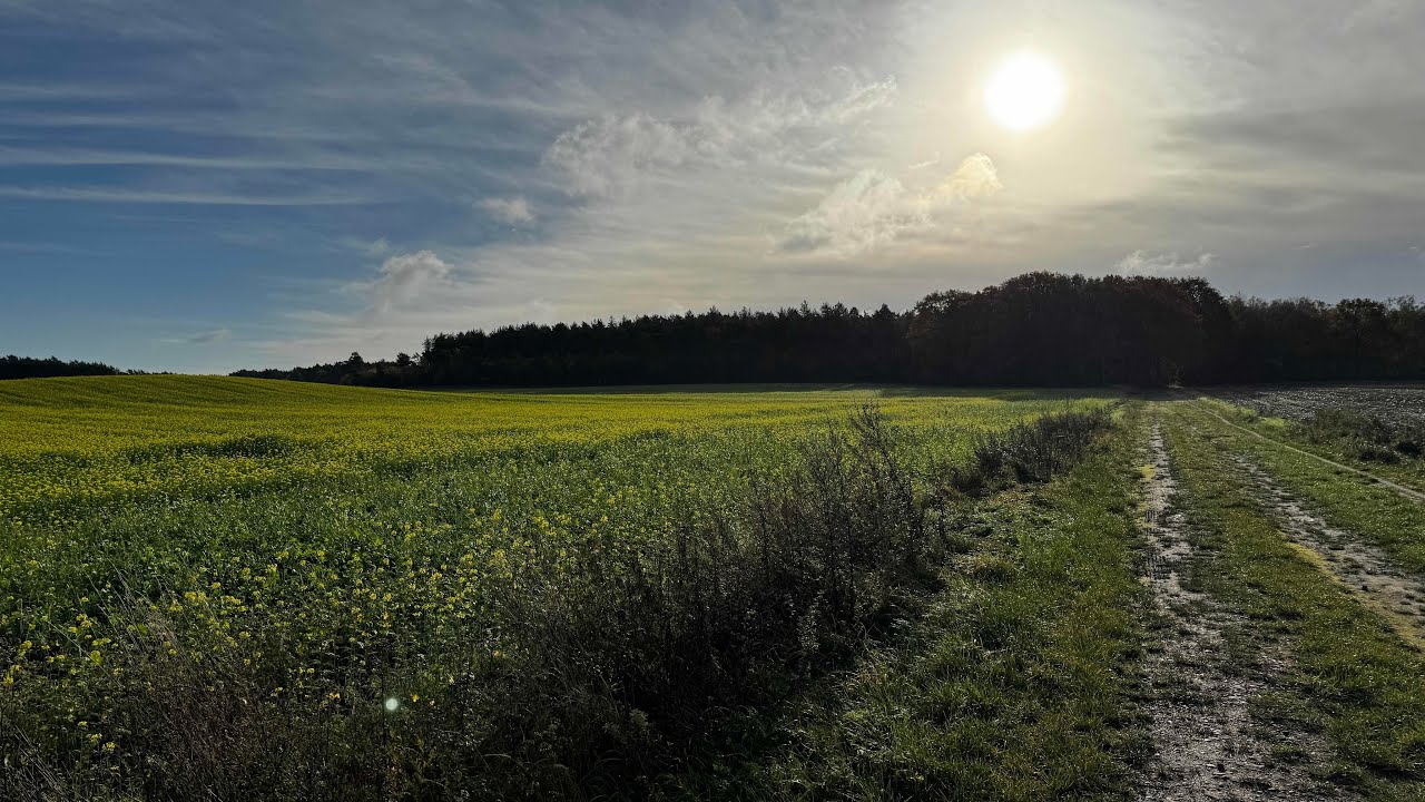 Hardenberg - Uelsen - Hardenberg