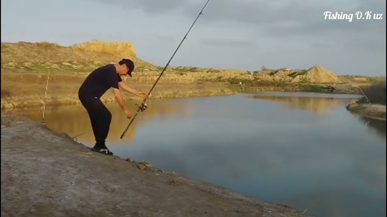 Балиқ ови охиригача куринг #баликови #рыбалка #fishing #telegram 