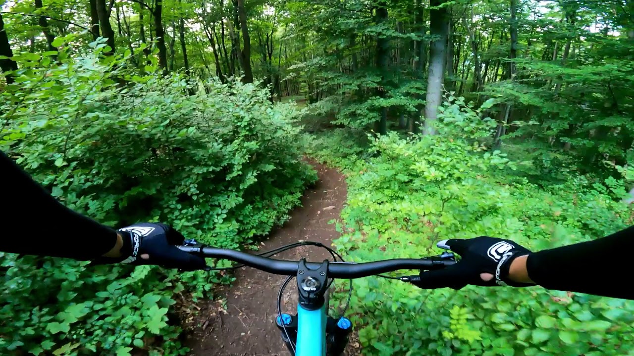 Bike Trail Markovica II.