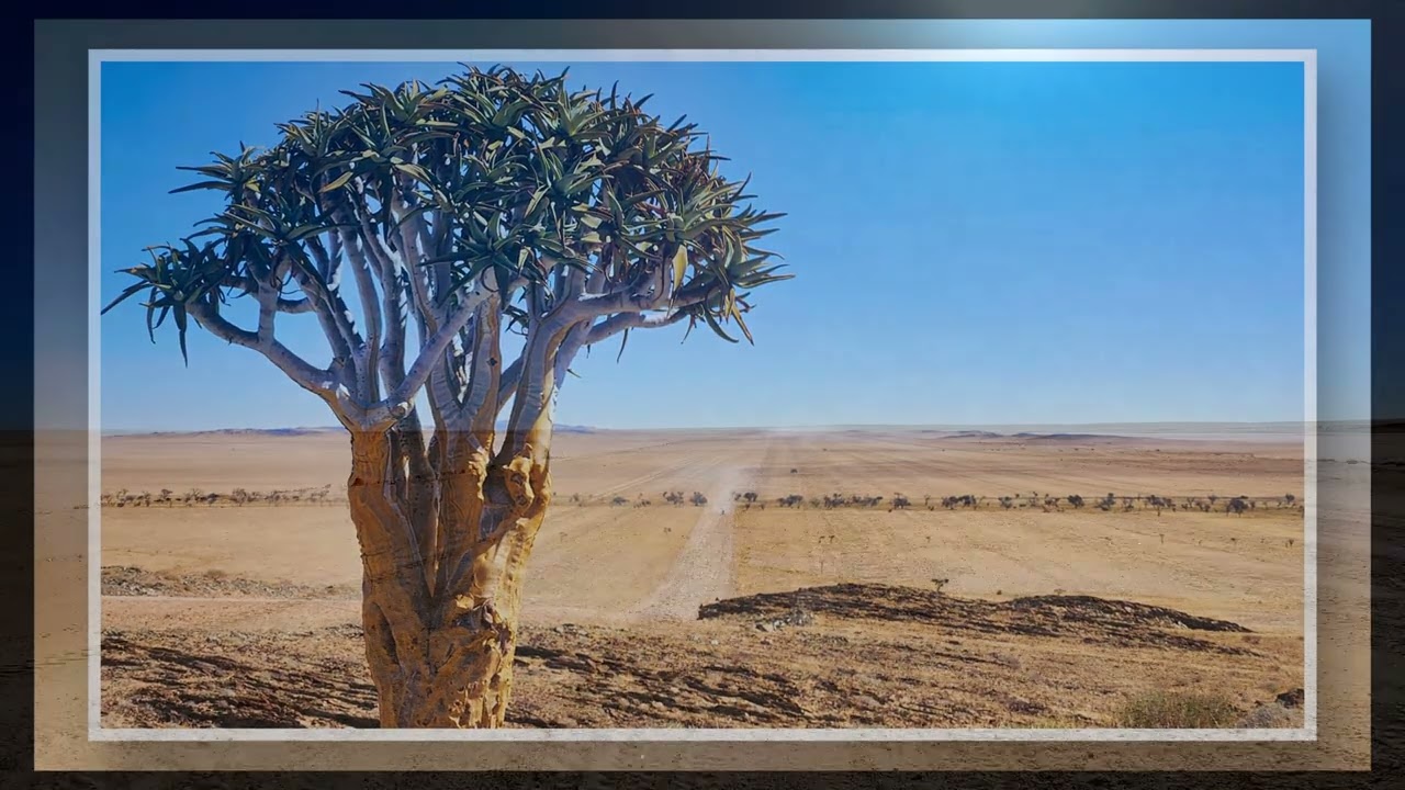 Safari Africa Episode 11 – Sesriem to Swakopmund