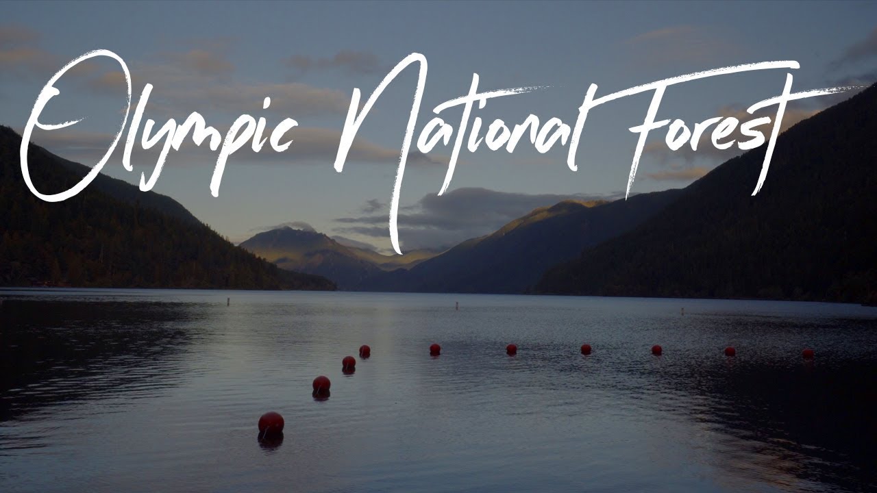 CAMPING ON THE OLYMPIC PENINSULA ↟↟ Olympic National Forest, Washington