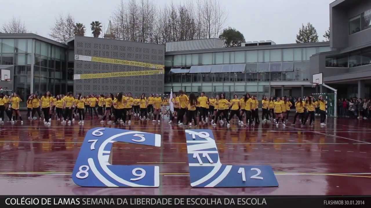 COLÉGIO DE LAMAS SEMANA DA LIBERDADE DE ESCOLHA NA EDUCAÇÃO flashmob 30.01.2014