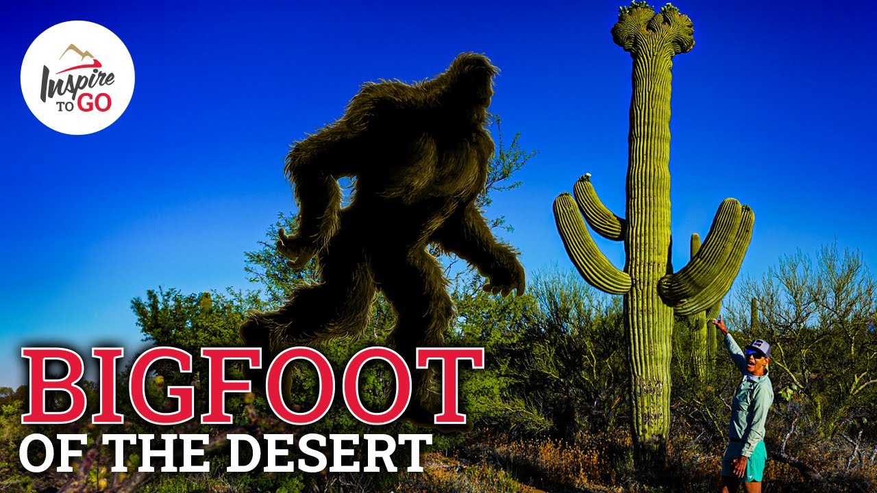 🌵 Crested Saguaro Cactus - The Bigfoot of the Desert!