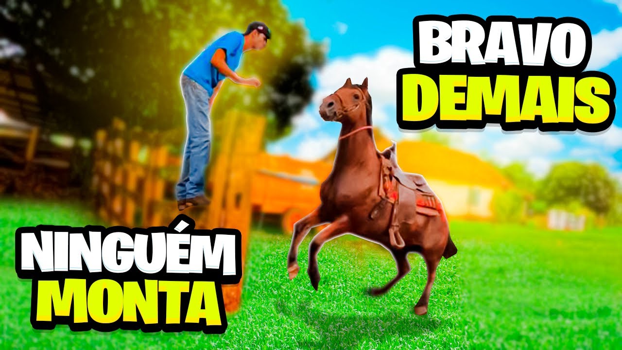 ESSE CAVALO TÁ DOÍDO 😂