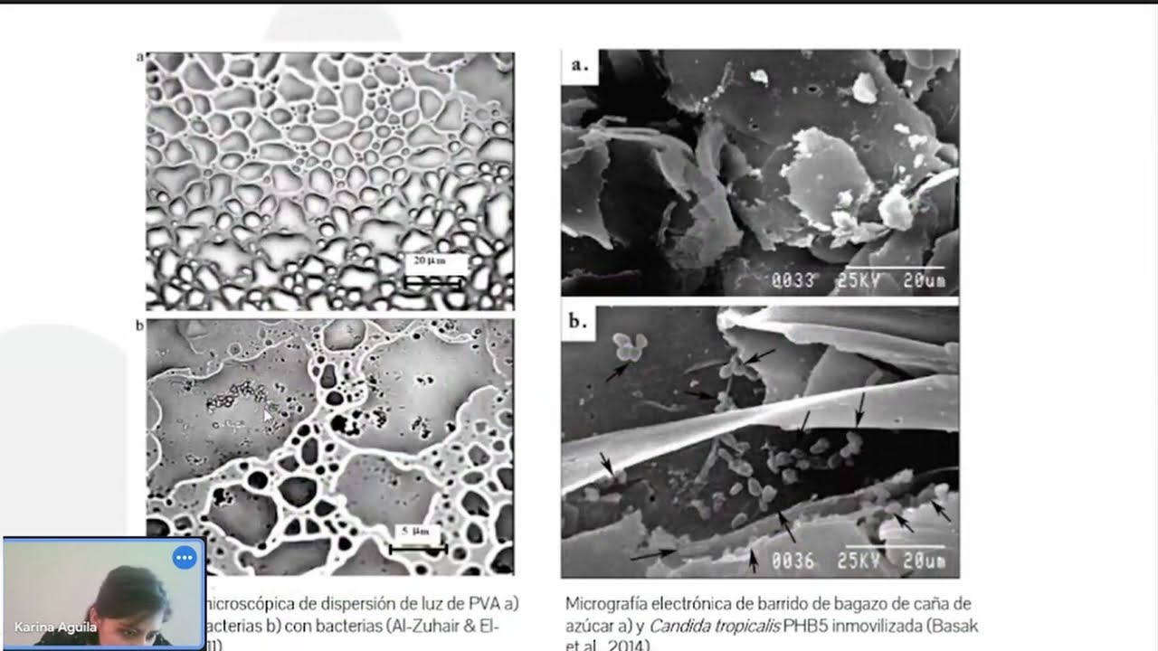 Uso de microorganismos inmovilizados para la biorremediación de ambientes acuosos