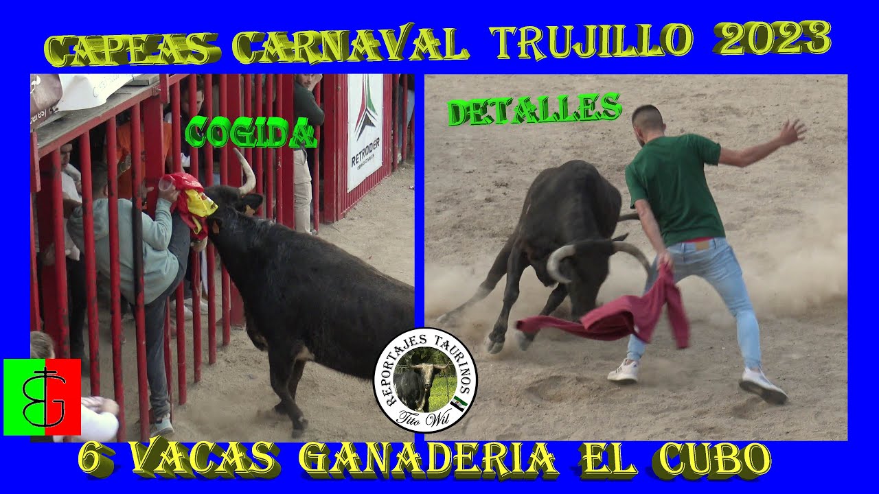 6 VACAS GANADERIA EL CUBO CAPEAS CARNAVAL TRUJILLO 2023 4K #carnaval2023 #trujillo #carnaval