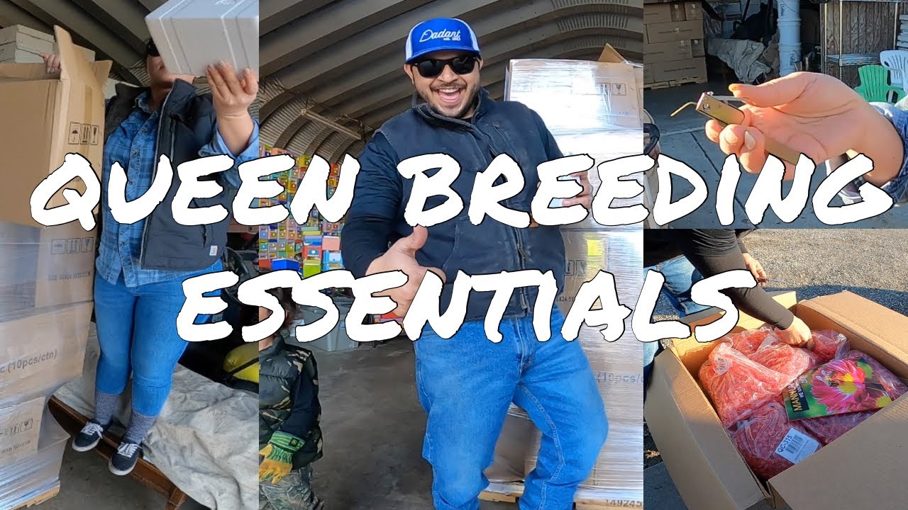 Buying Queen Breeding Essentials: Mini Mating Nucs, Master Grafting Tool - PowerBlanket Bee Blanket