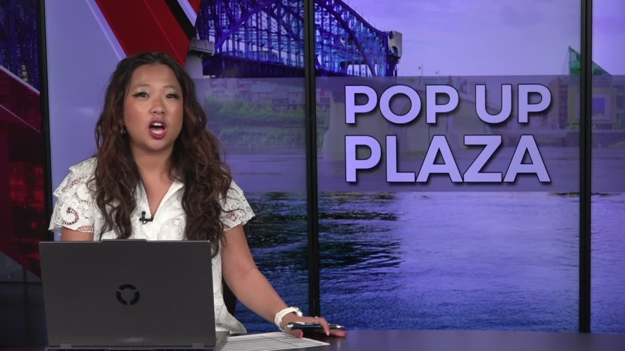 Pocket Plaza opens as Skate Park Construction Continues.