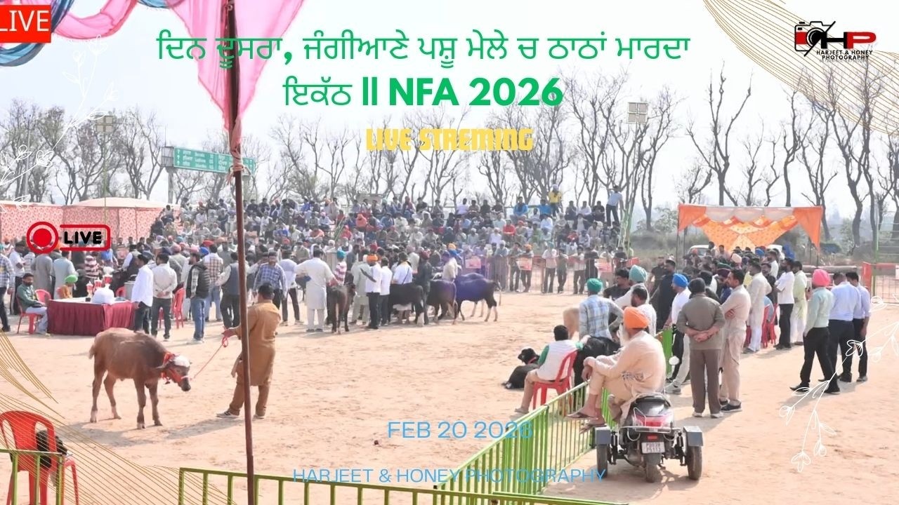 🔴 LIVE || ਦਿਨ ਦੂਸਰਾ, ਜੰਗੀਆਣੇ ਪਸ਼ੂ ਮੇਲੇ ਚ ਠਾਠਾਂ ਮਾਰਦਾ ਇਕੱਠ || NFA 2026
