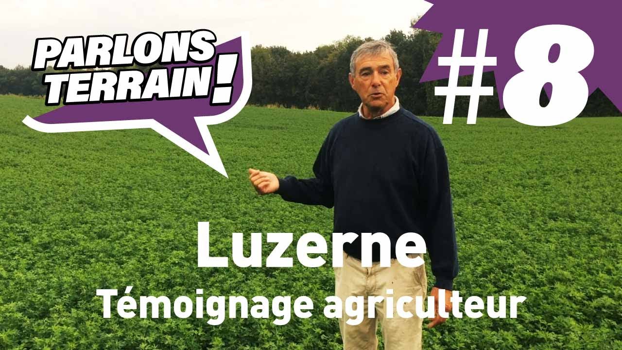 Parlons terrain #8 : luzerne en zone déshy - Témoignage agriculteur