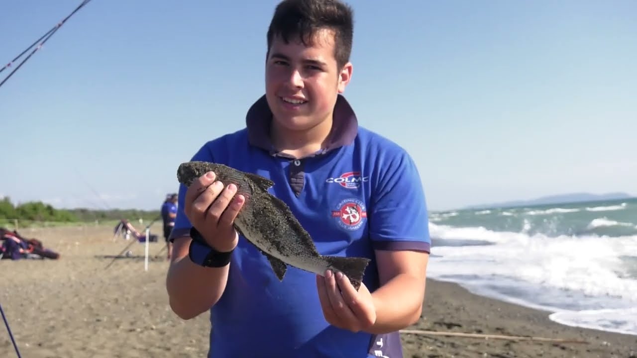Salt Water Mania 4 - Surfcasting - Strategie di Surf/Beach estive (Colmic)