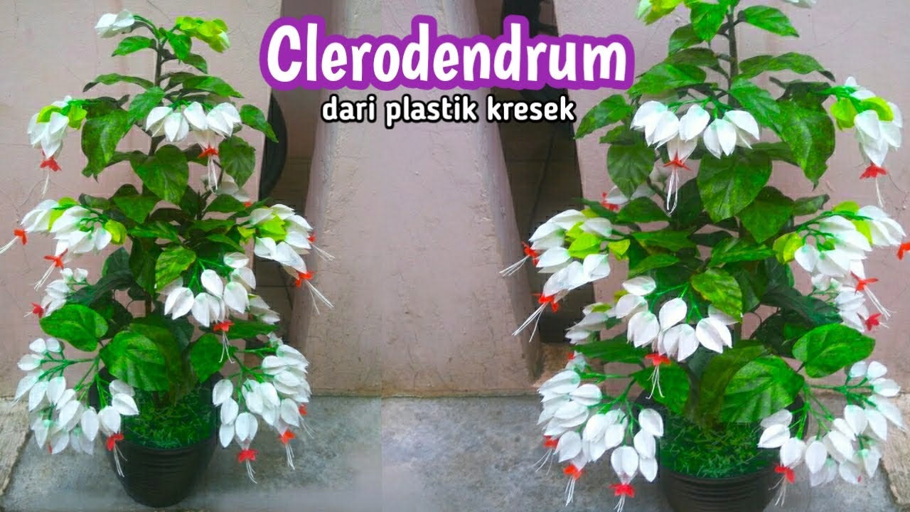 Bunga nona makan sirih dari plastik kresek/clerodendrum flower