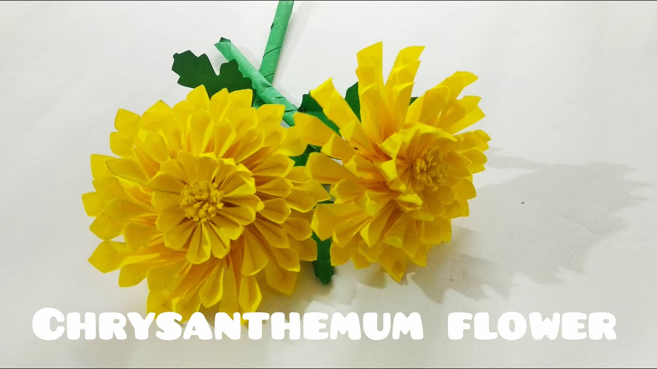 Chrysanthemum origami | origami ideas | paper flower | paper craft ideas