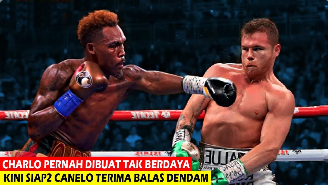 Jermall Charlo vs Canelo Alvarez Pembalasan Keji Charlo |Tinju Dunia Hari Ini |Tinju Hari Ini