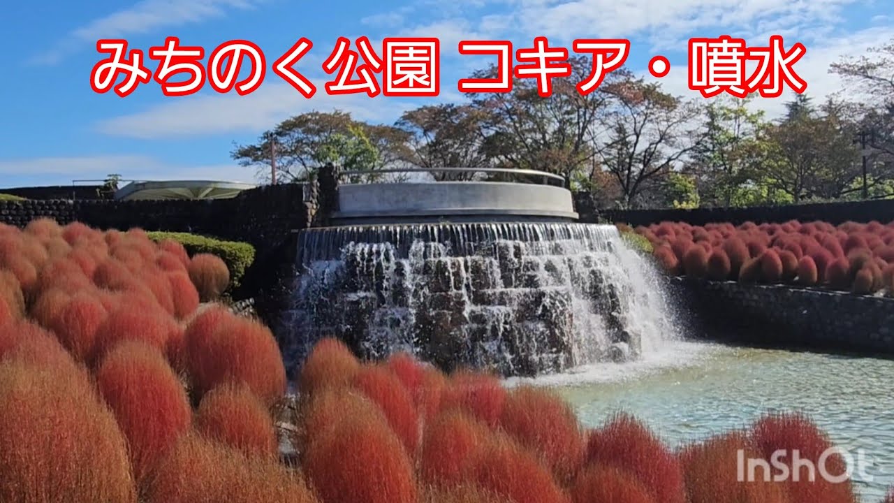 【宮城】みちのく公園 #コキア 古民家 秋桜 東北唯一の国営公園